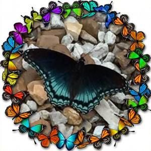 Meet your Posher, Sandy